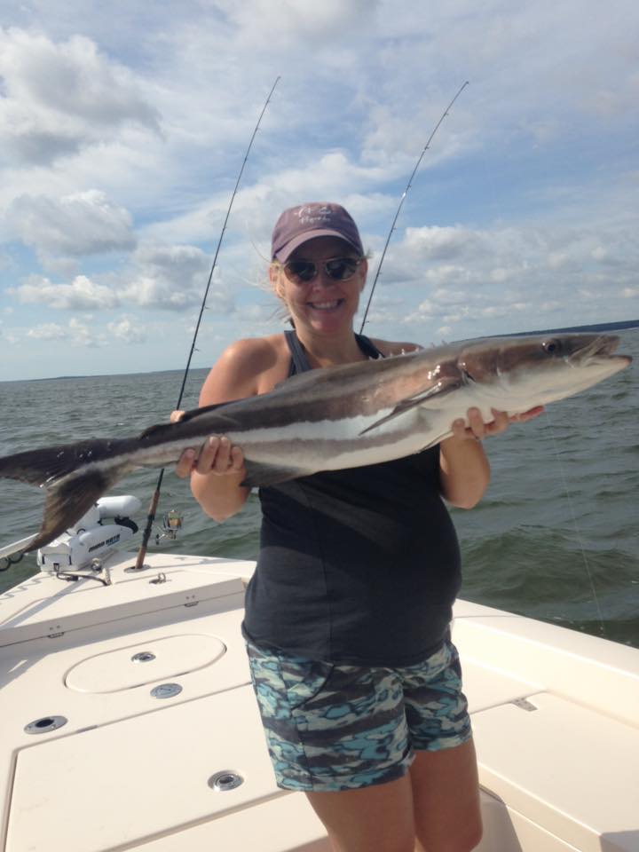 Tailwind Gallery Tailwind Charters