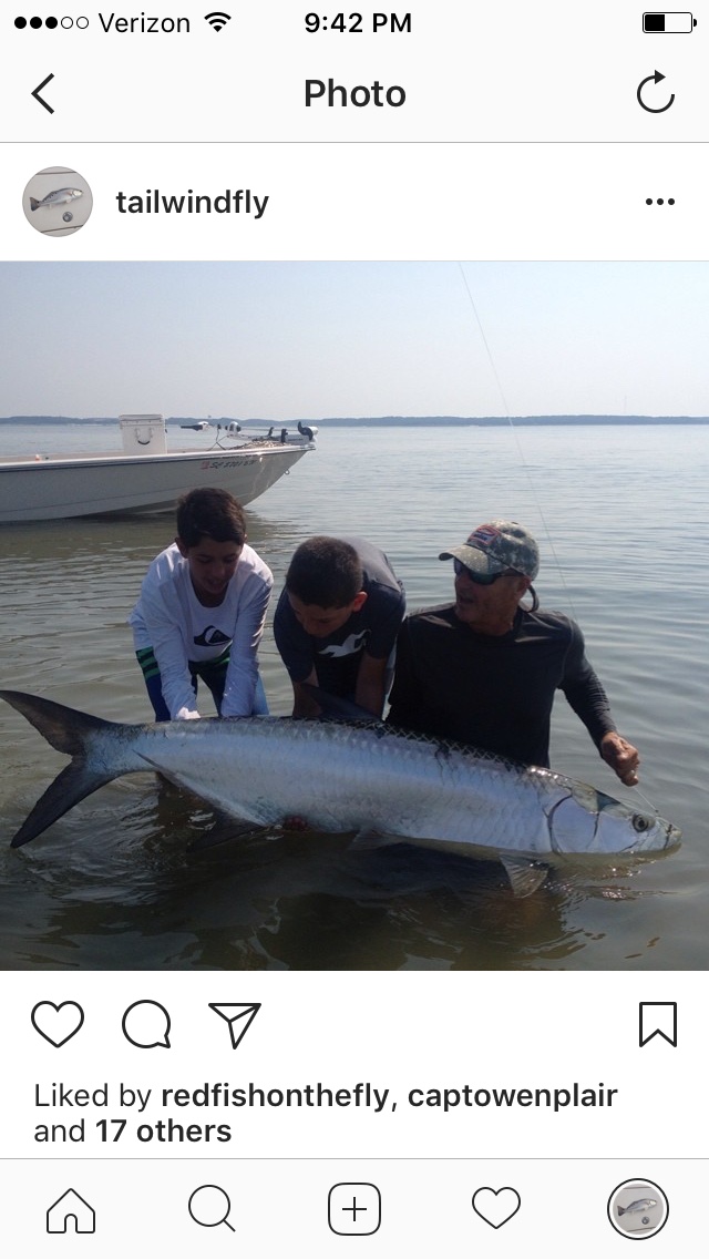Tailwind Gallery Tailwind Charters