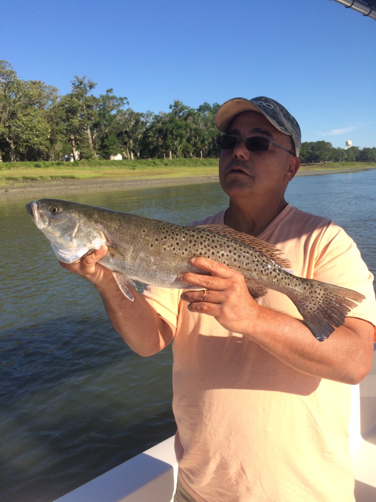 Tailwind Gallery Tailwind Charters